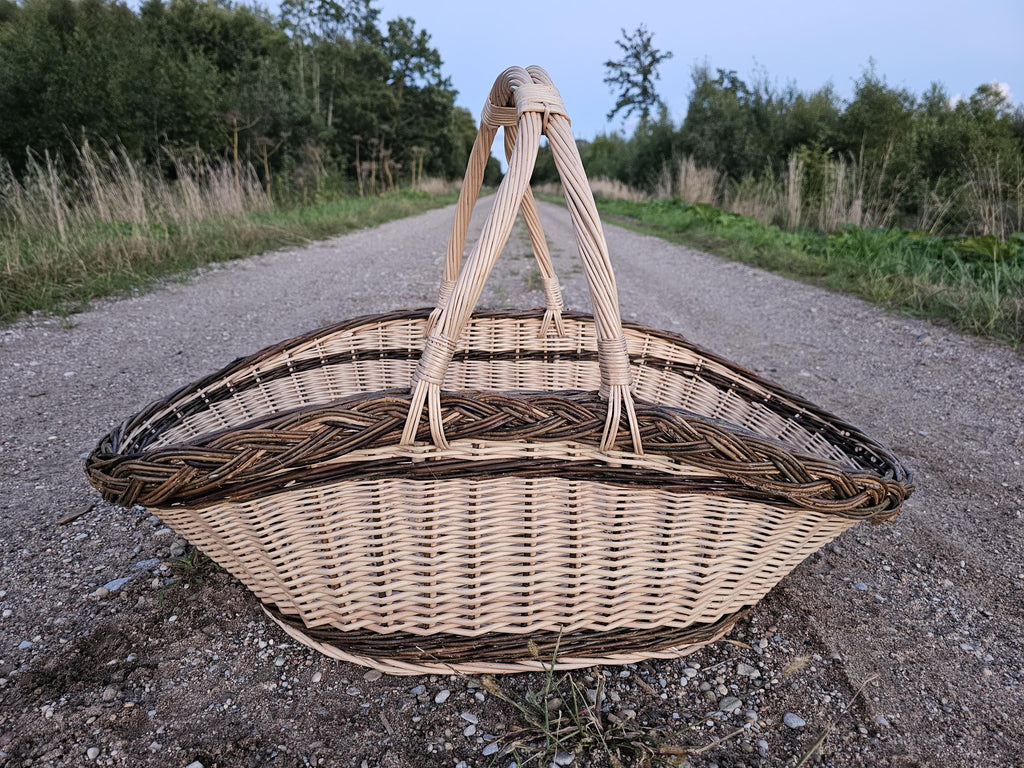 Ilga pintinė vidury žvyrkelio, nufotografuota iš priekio