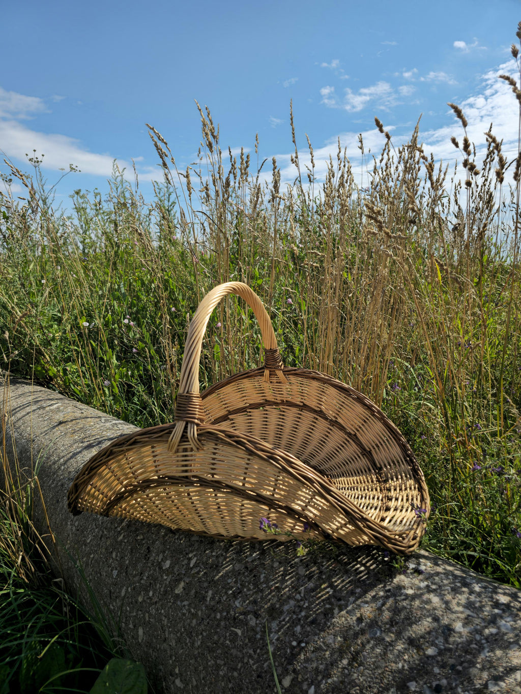 Didelė gėlių pintinė — gėlių pintinė, 8 nuotrauka