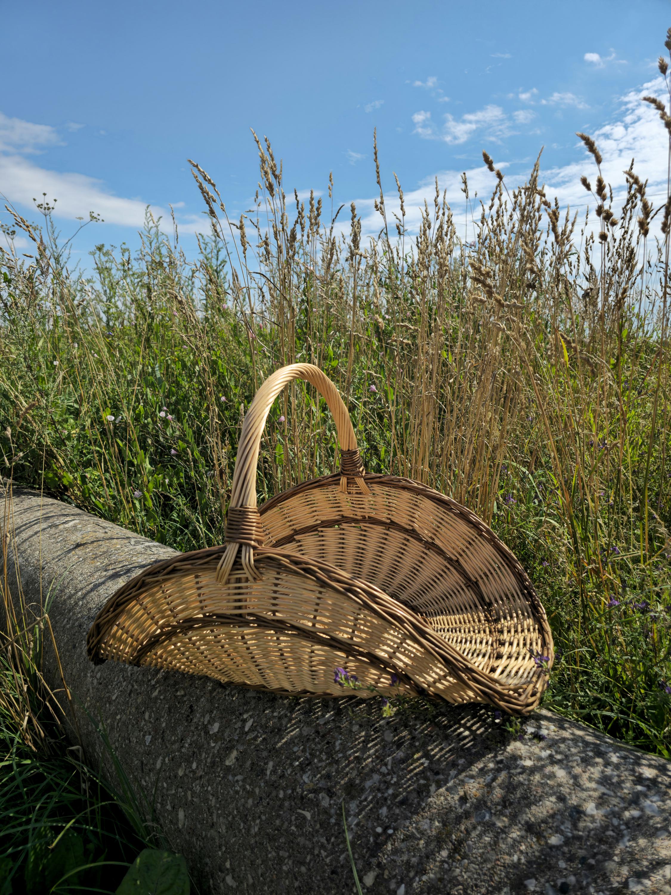 Didelė gėlių pintinė — gėlių pintinė, 8 nuotrauka