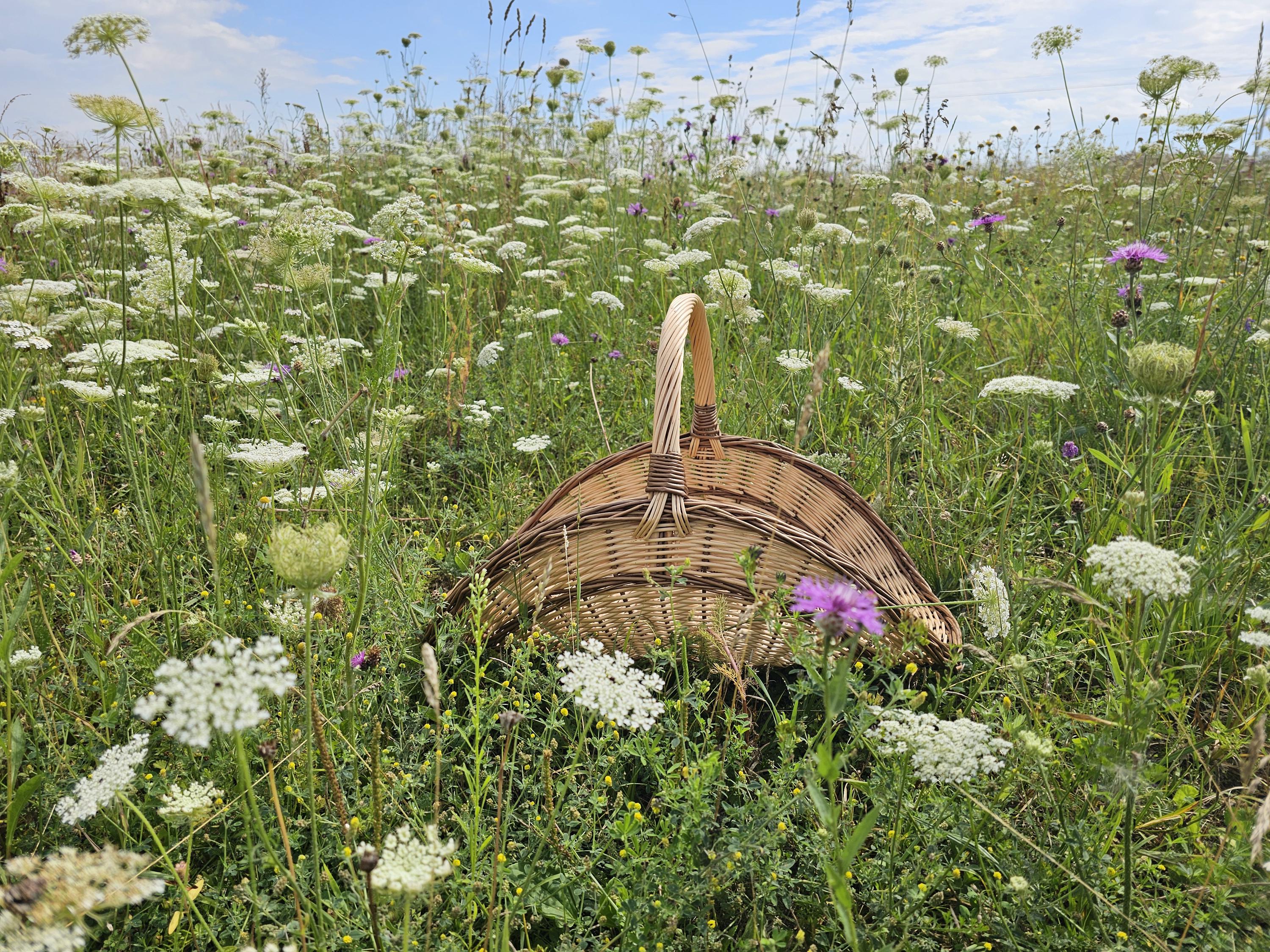 Didelė gėlių pintinė — gėlių pintinė, 12 nuotrauka