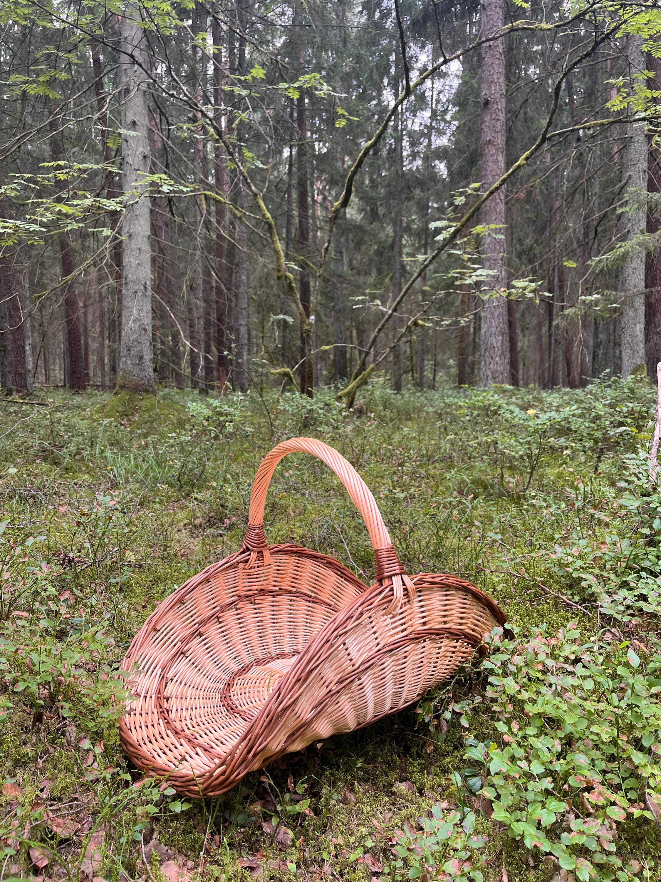 Didelė gėlių pintinė — gėlių pintinė, 16 nuotrauka