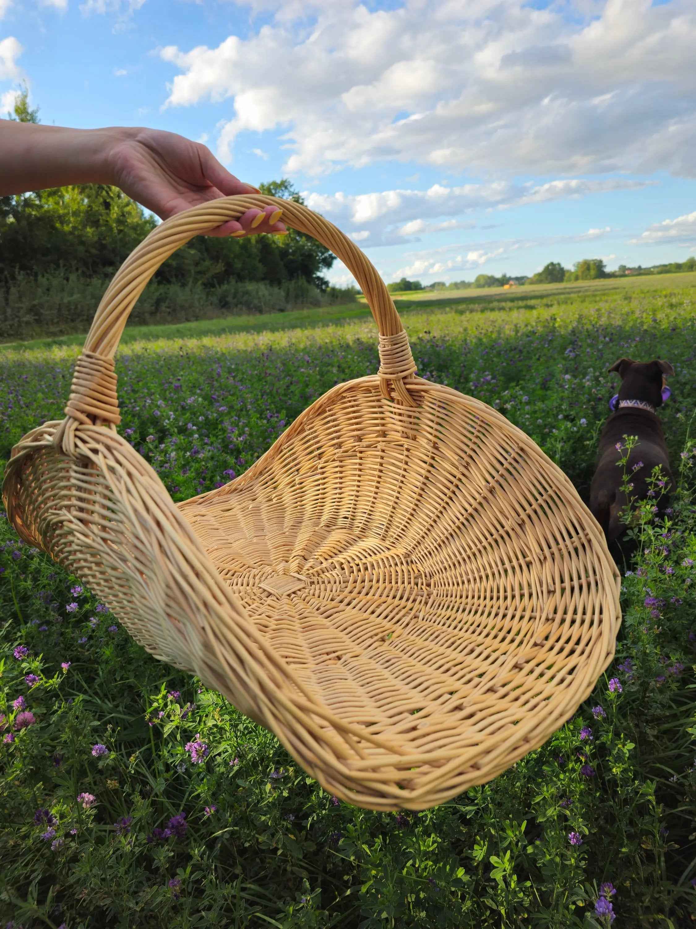 Didelė vestuvių pintinė su pintu pagrindu — gėlių pintinė, 16 nuotrauka