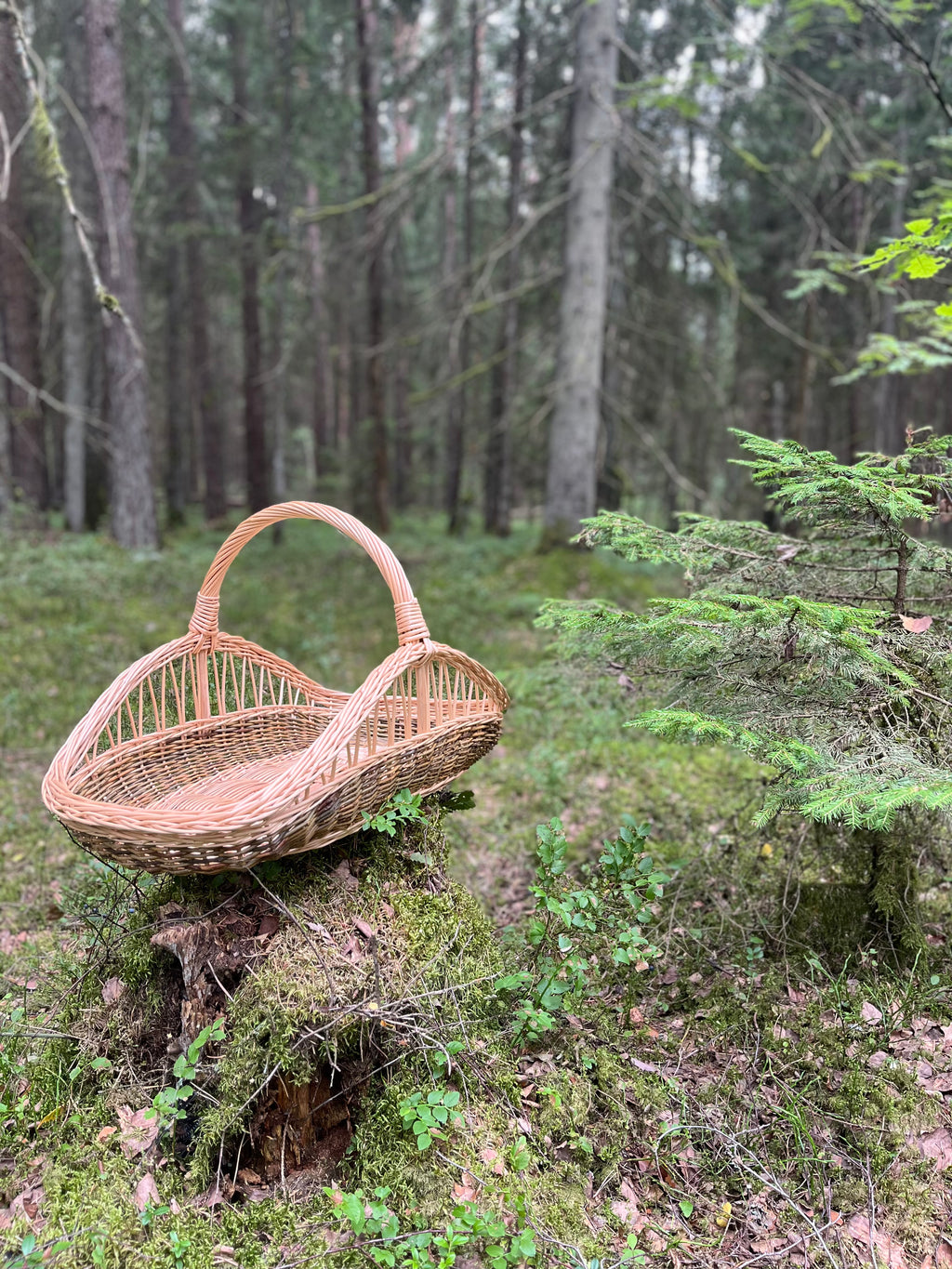 Didelė ažūrinė pintinė — vytelių pintinė, 8 nuotrauka