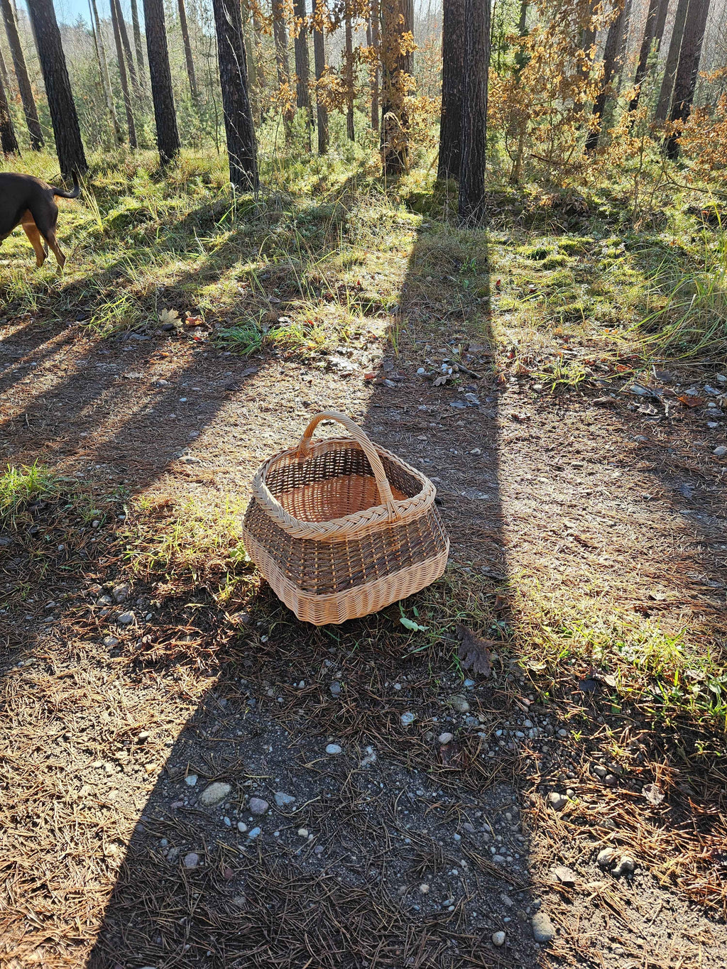 Didelė sodo pintinė — vytelių pintinė, 16 nuotrauka
