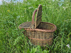 Didelė pikniko pintinė iš nežievintos vytelės — pikniko pintinė, 12 nuotrauka