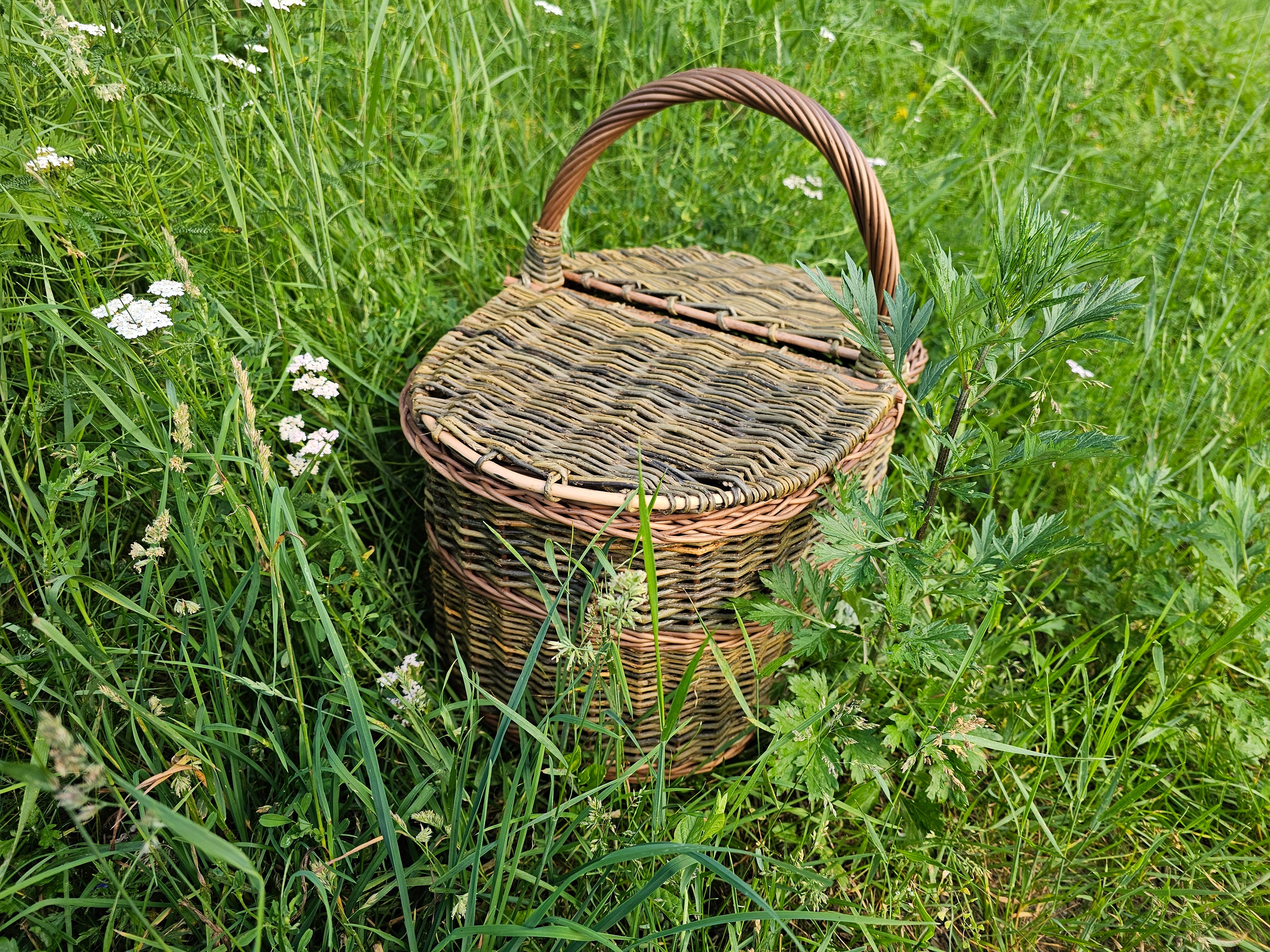 Didelė pikniko pintinė iš nežievintos vytelės — pikniko pintinė, 14 nuotrauka