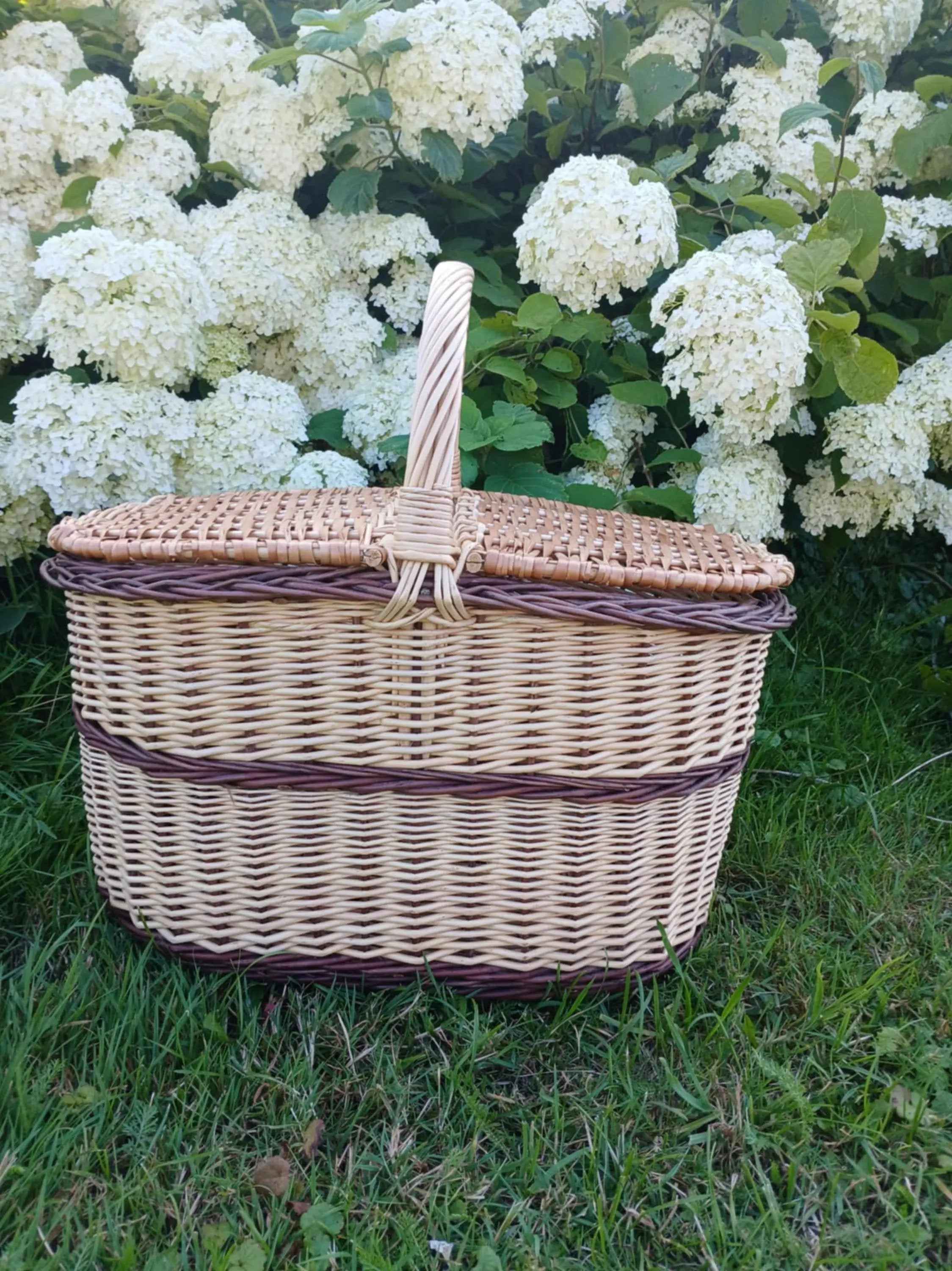 Didelė pikniko pintinė iš nežievintos vytelės, Auksinė / ruda — rankų darbo pikniko pintinė