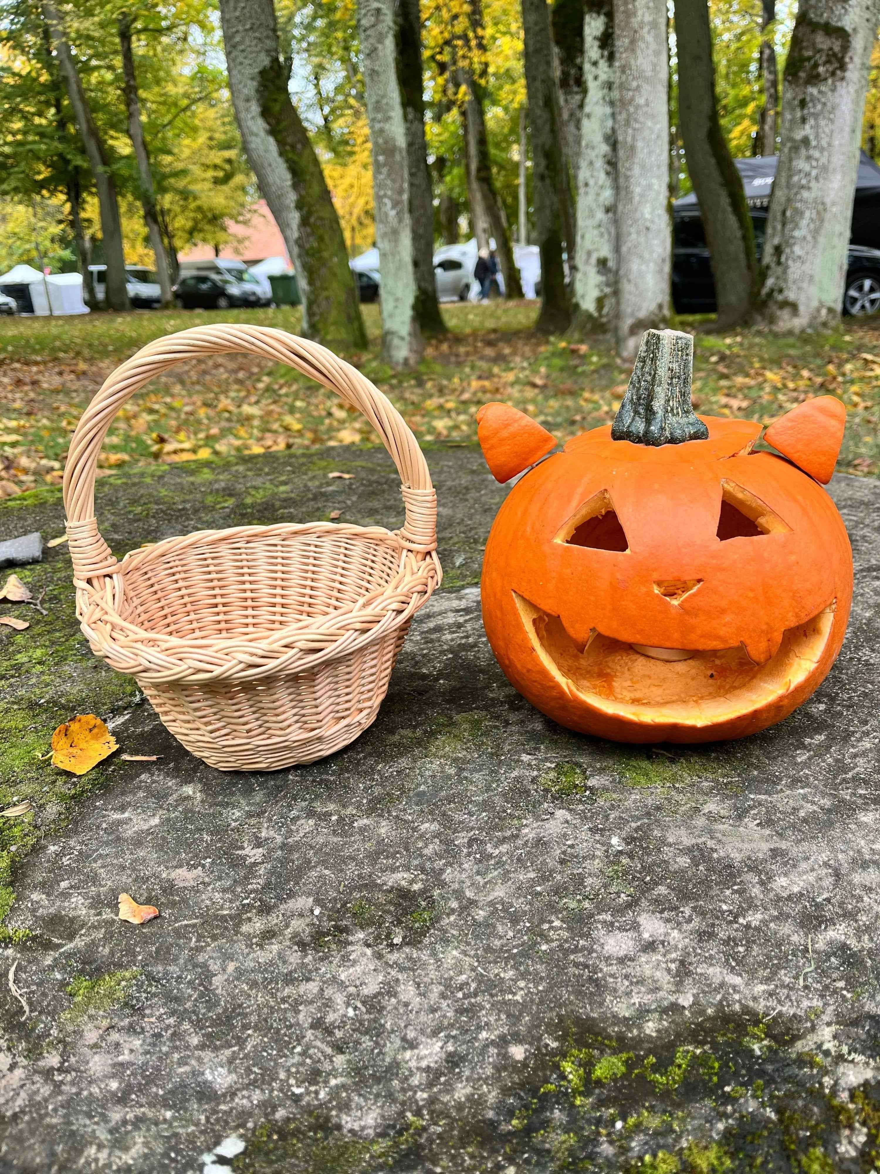 Mini sandėliavimo pintinė — daiktų pintinė, 5 nuotrauka
