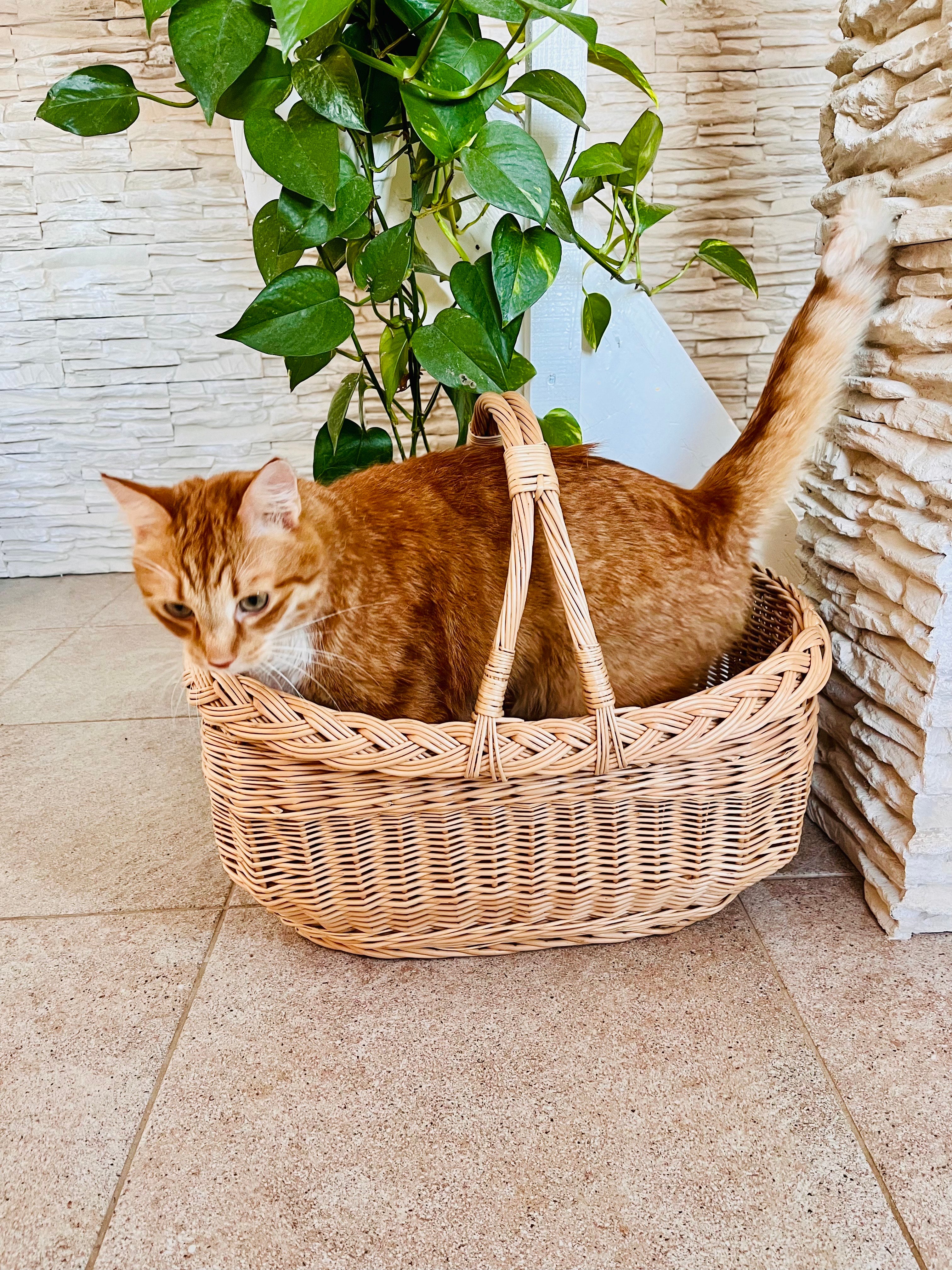 Sodo pintinė su dviem rankenomis — vytelių pintinė, 12 nuotrauka