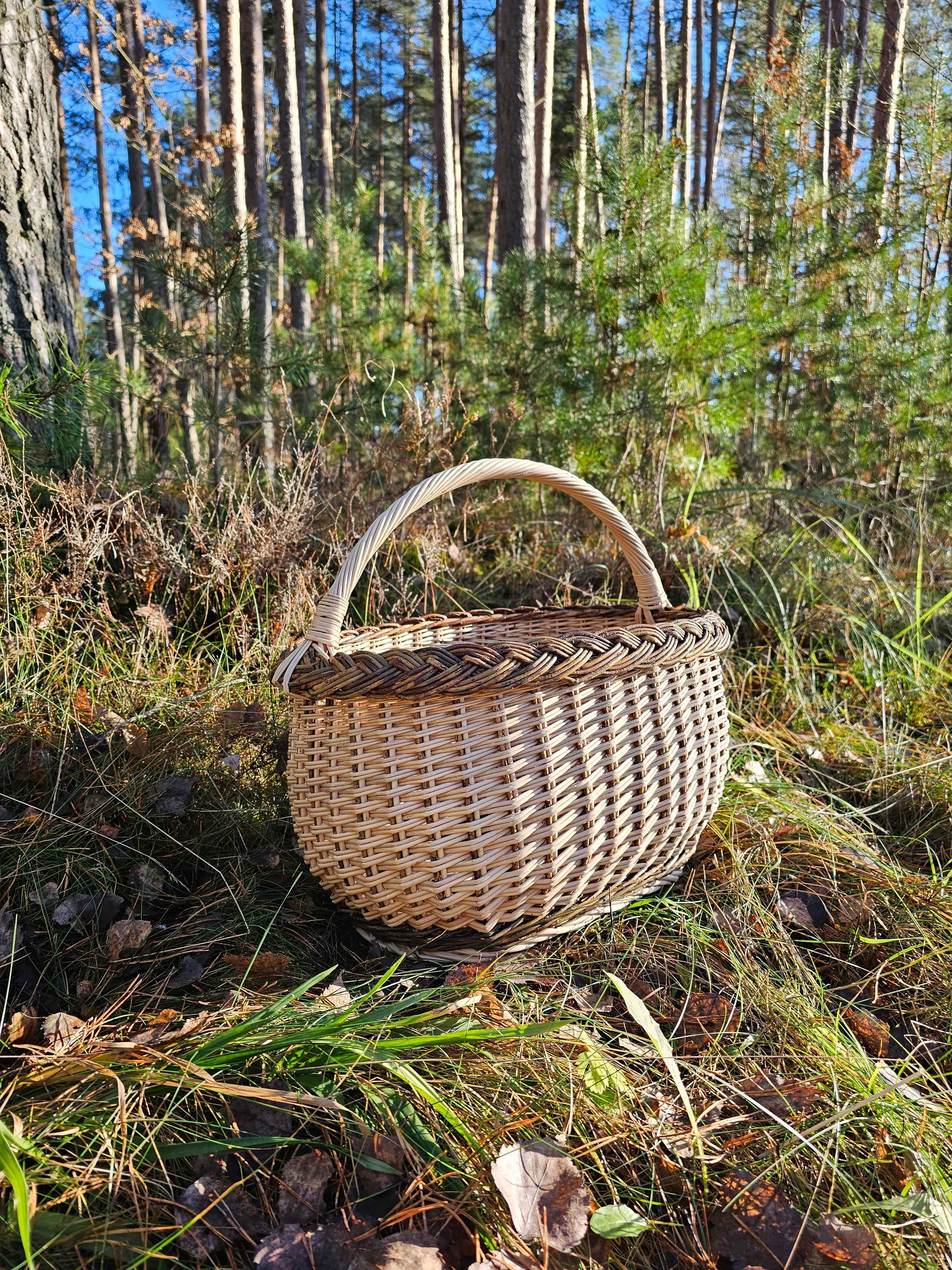 Sodo pintinė su pinta juosta — vytelių pintinė, 2 nuotrauka