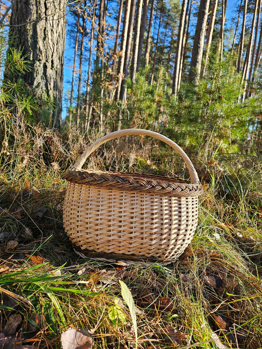 Sodo pintinė su pinta juosta — vytelių pintinė, 5 nuotrauka