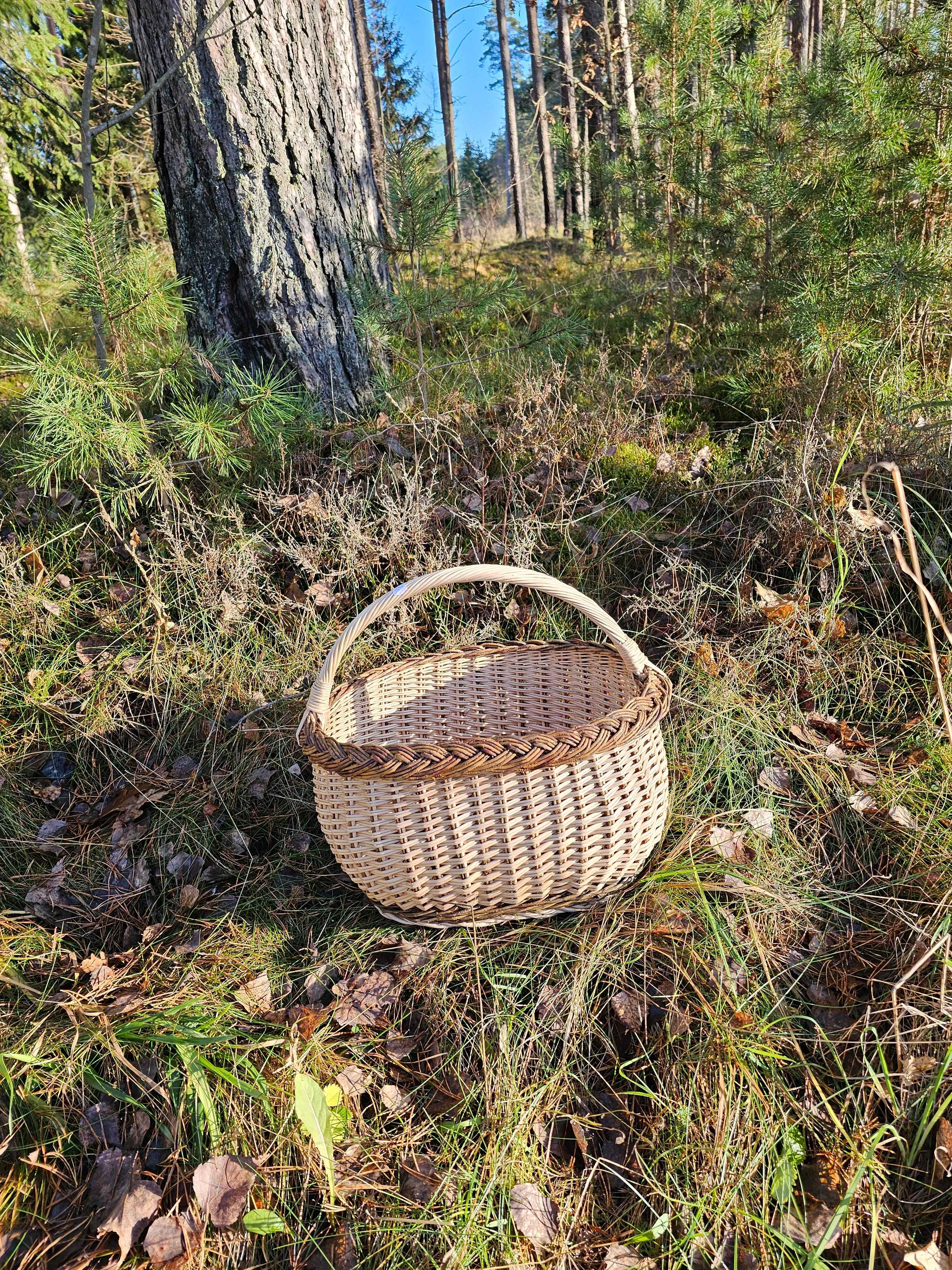 Sodo pintinė su pinta juosta — vytelių pintinė, 8 nuotrauka