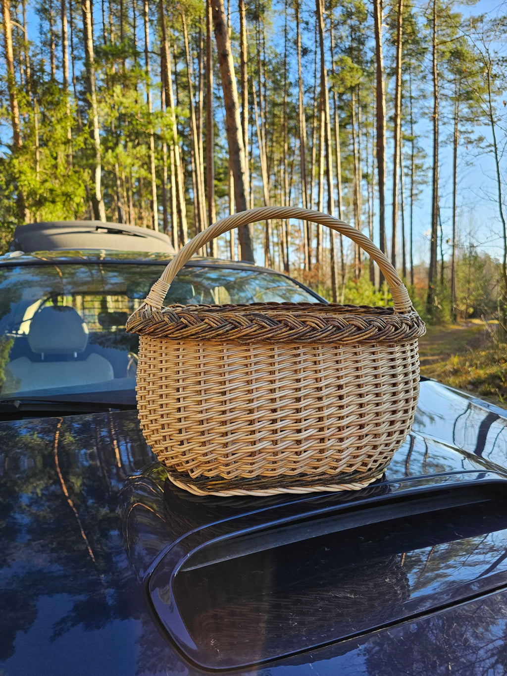 Sodo pintinė su pinta juosta — vytelių pintinė, 9 nuotrauka