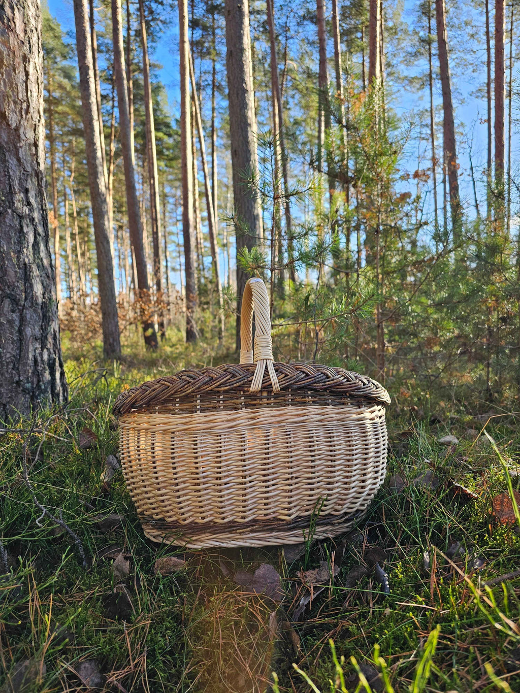Turgaus pintinė su ažūriniu pynimu — vytelių pintinė, 8 nuotrauka