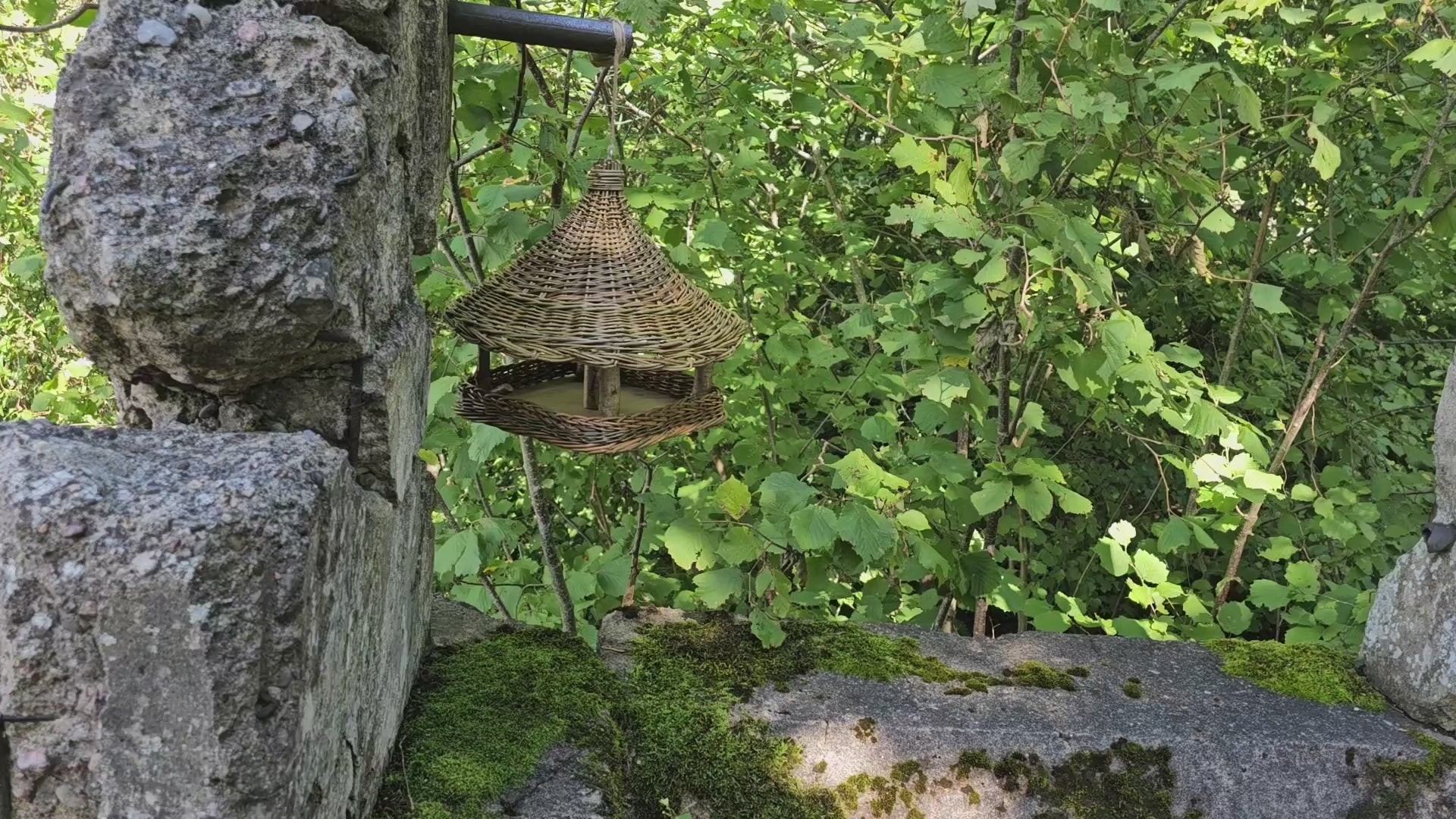 Handwoven Willow Bird Feeder — video of the handmade bird feeder