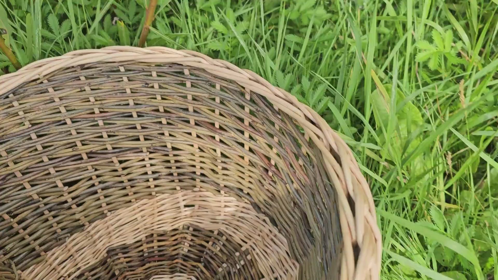 two-tone-picnic-basket-with-divider