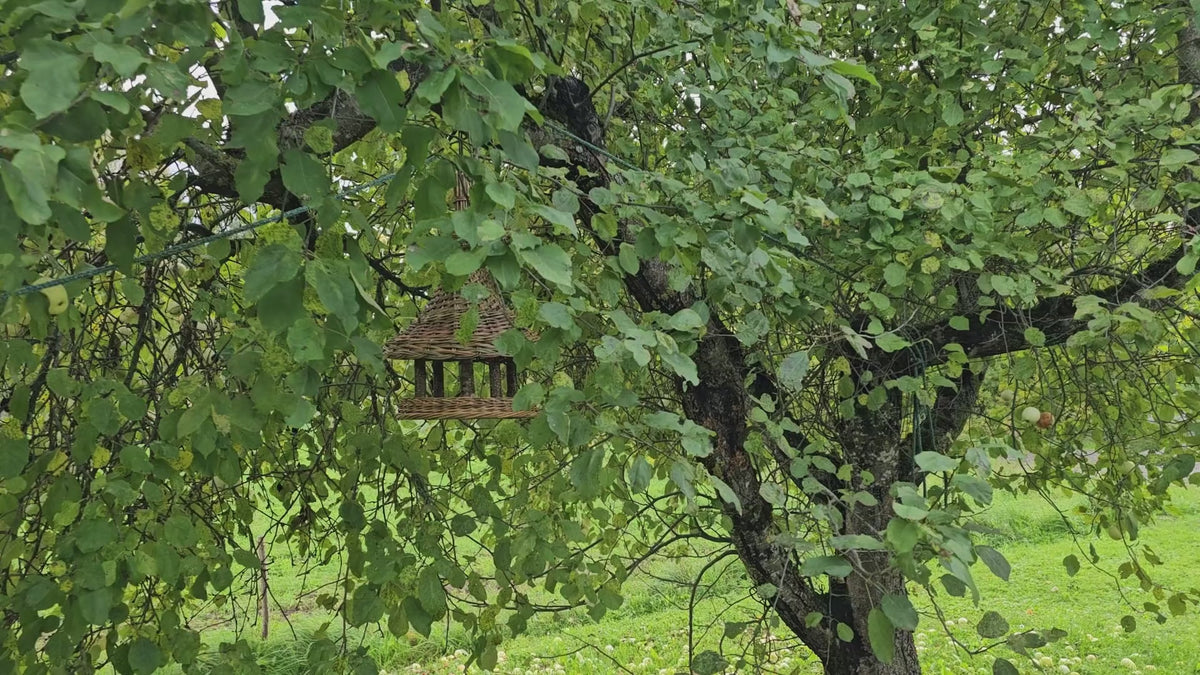 Tall Bell-Roof Willow Bird Feeder — product video