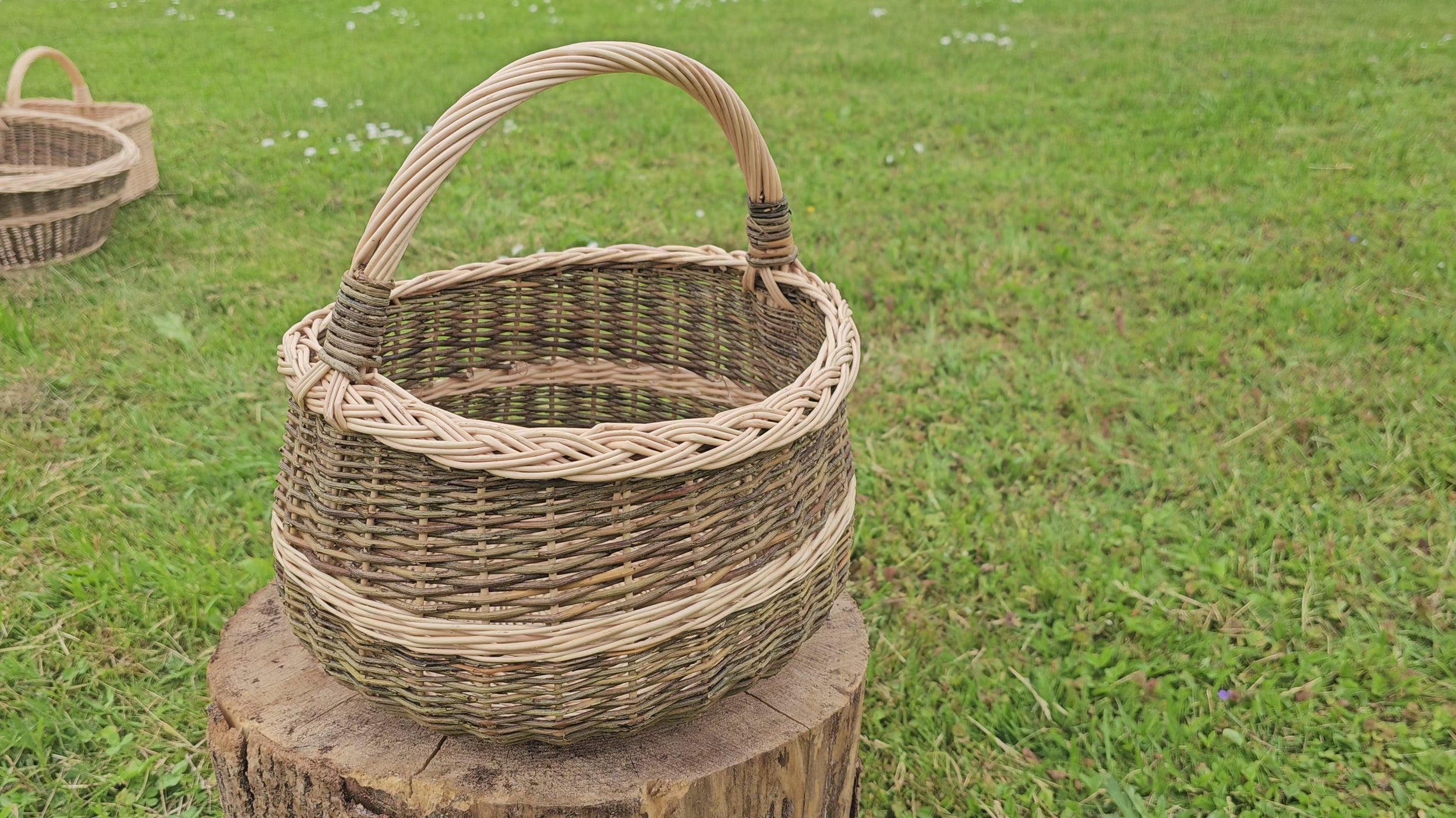 round-willow-mushroom-basket