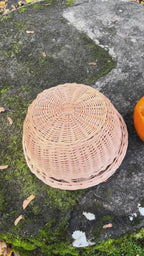 Padėklas su dangčiu 017b