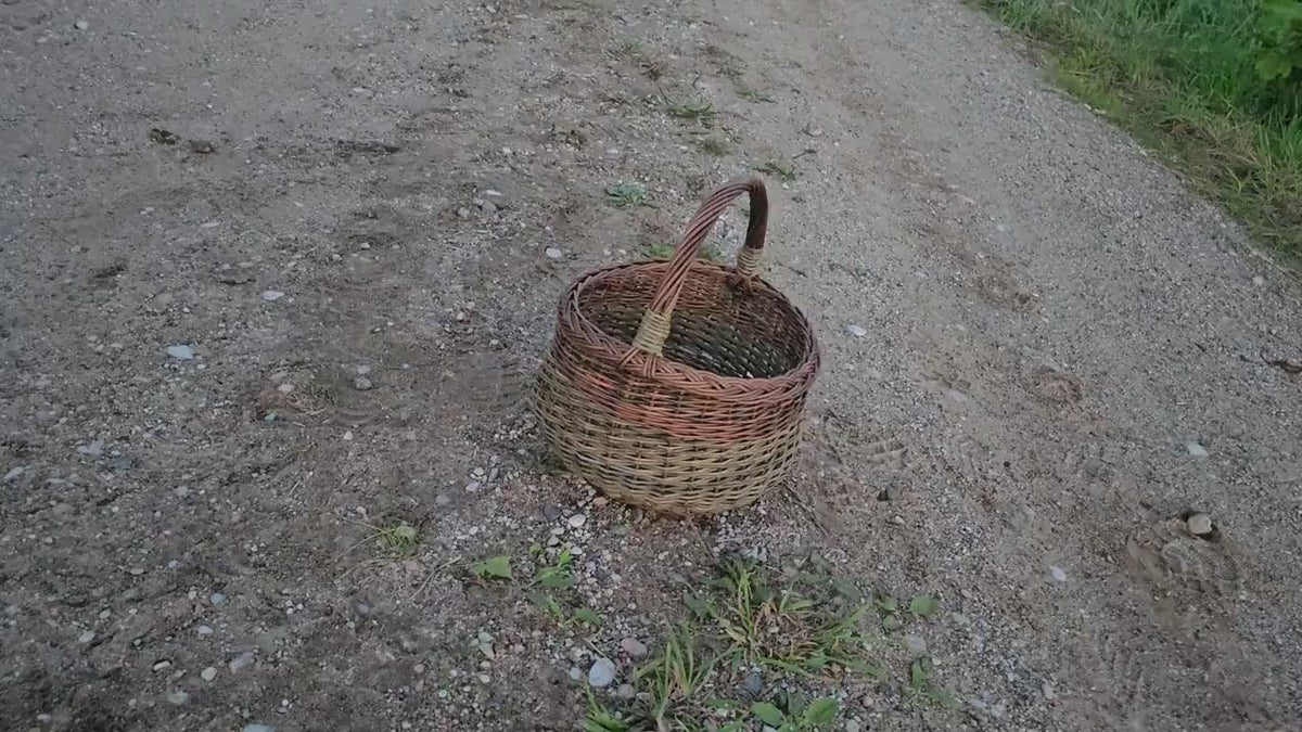 Round Willow Mushroom Basket — product video
