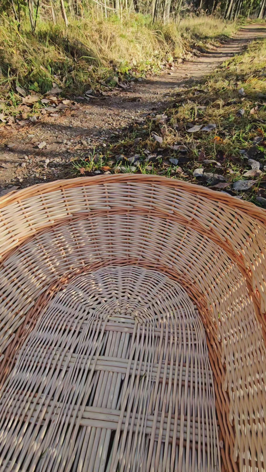 rose-rim-willow-trug