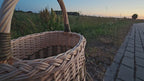Pintinė 015b