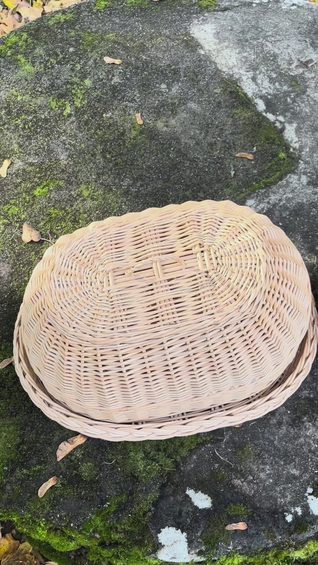 Rankomis austas pintas padėklas su kupoliniu dangteliu