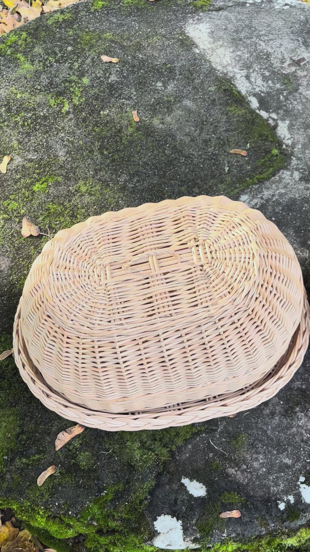 Rankomis austas pintas padėklas su kupoliniu dangteliu