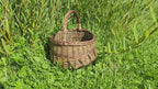 round-willow-foraging-basket