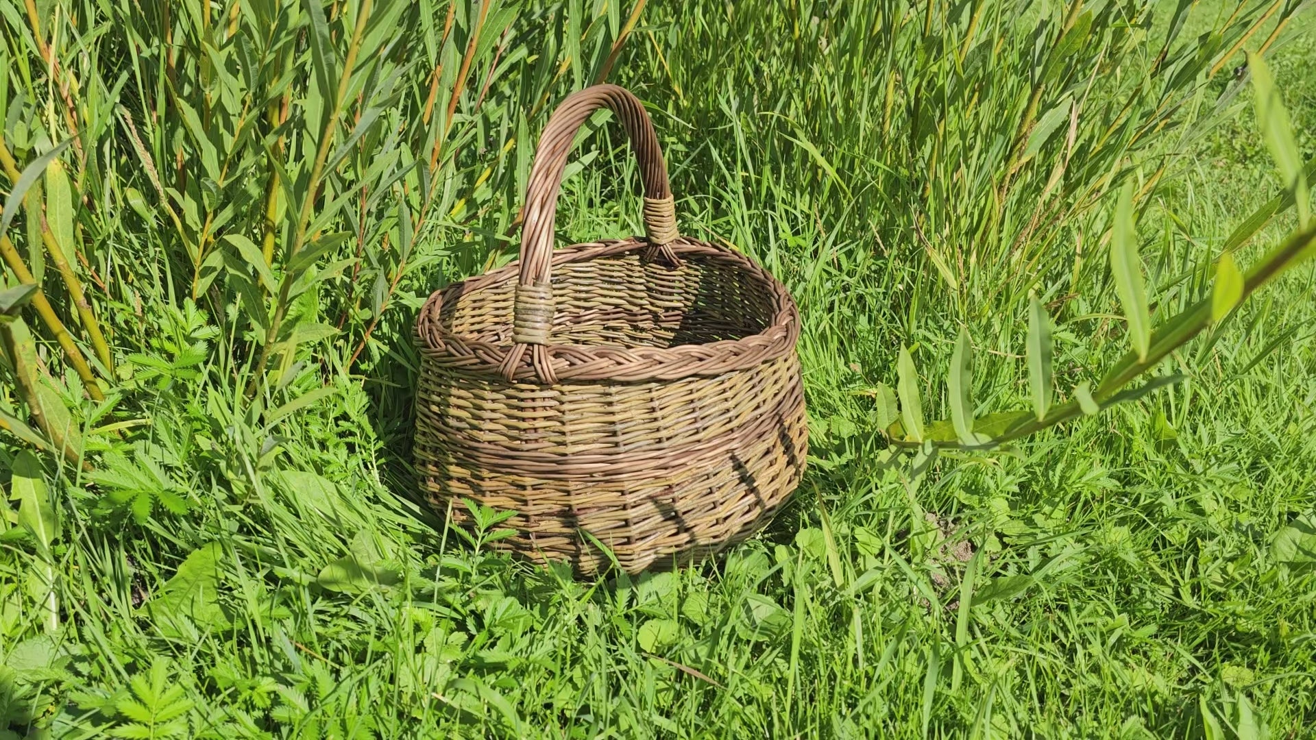 round-willow-foraging-basket