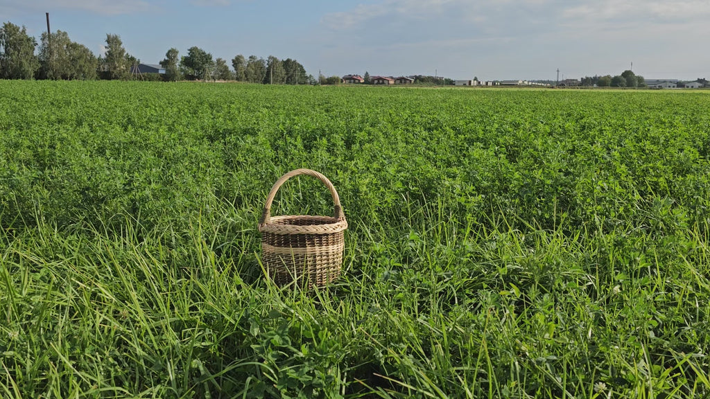 Tall Wicker Basket with Handle