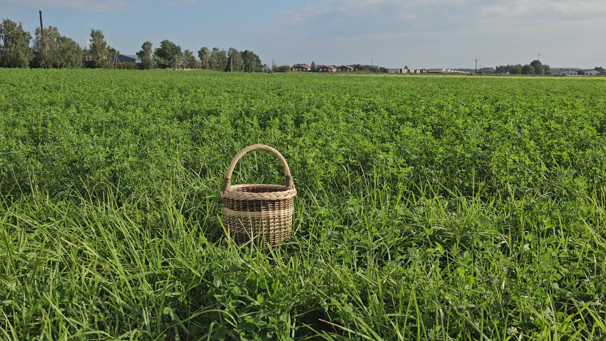 Tall Wicker Basket with Handle