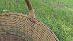 Pintinė 045b