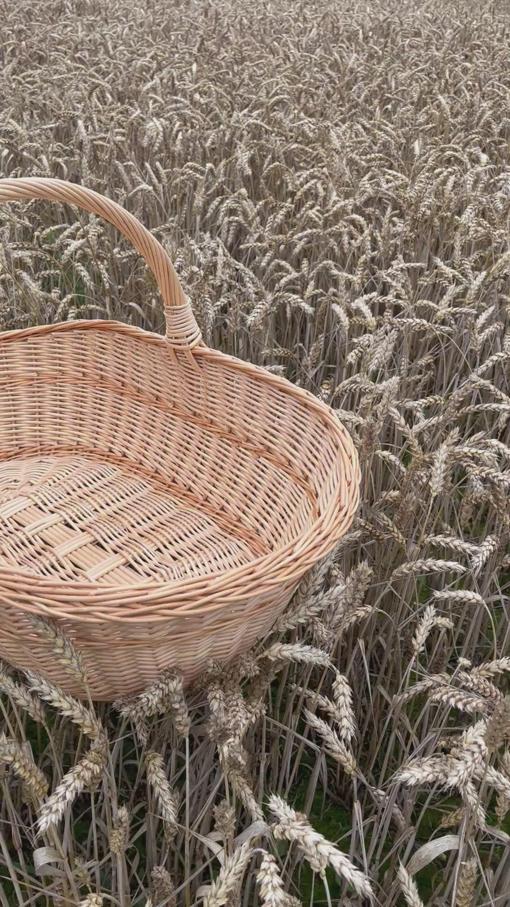 rose-rim-willow-trug
