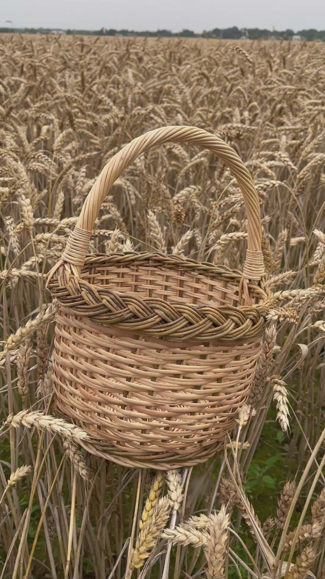 Maža gėlių pintinė