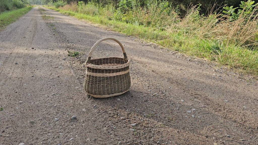 Wicker Basket with Handle & Braided Rim