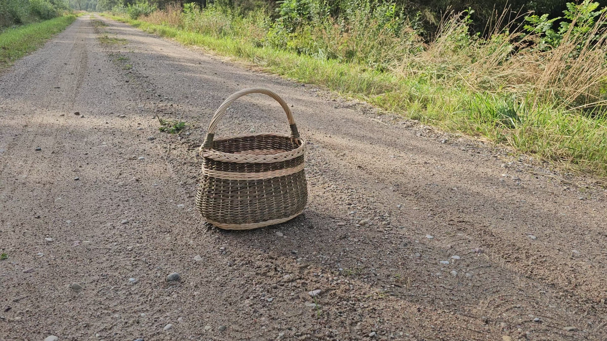 Wicker Basket with Handle & Braided Rim