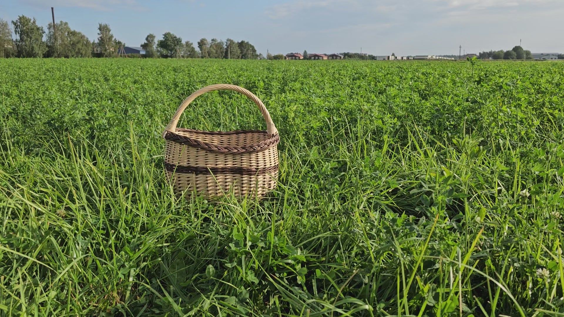 round-wicker-foraging-basket