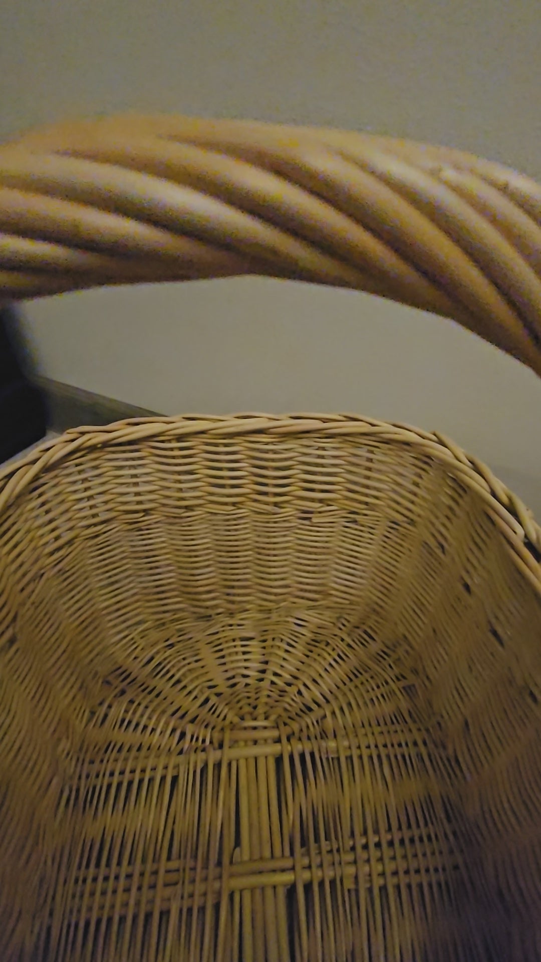Shopping Basket with Handle