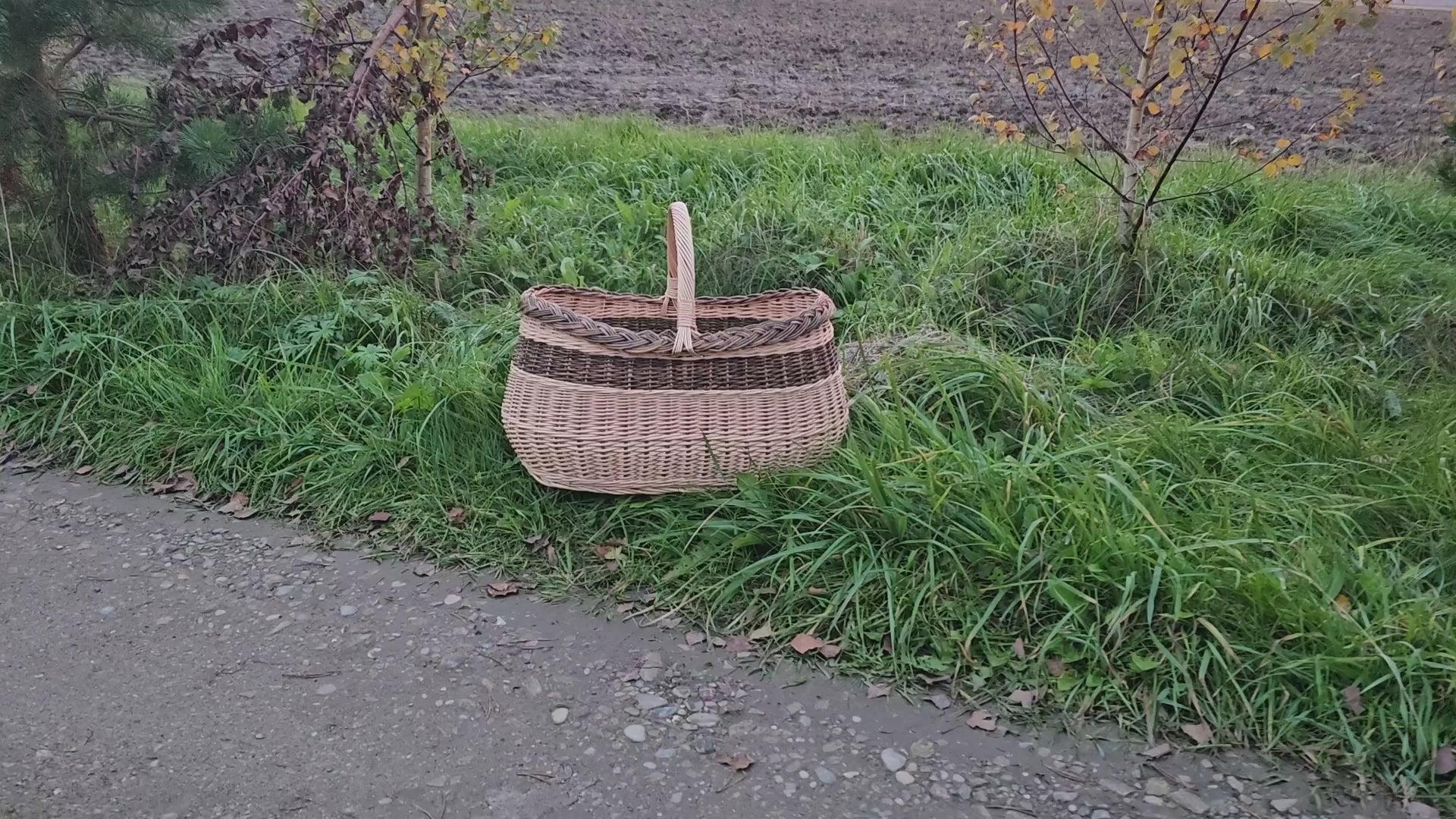 Large Oval Picnic Basket with Handle — product video