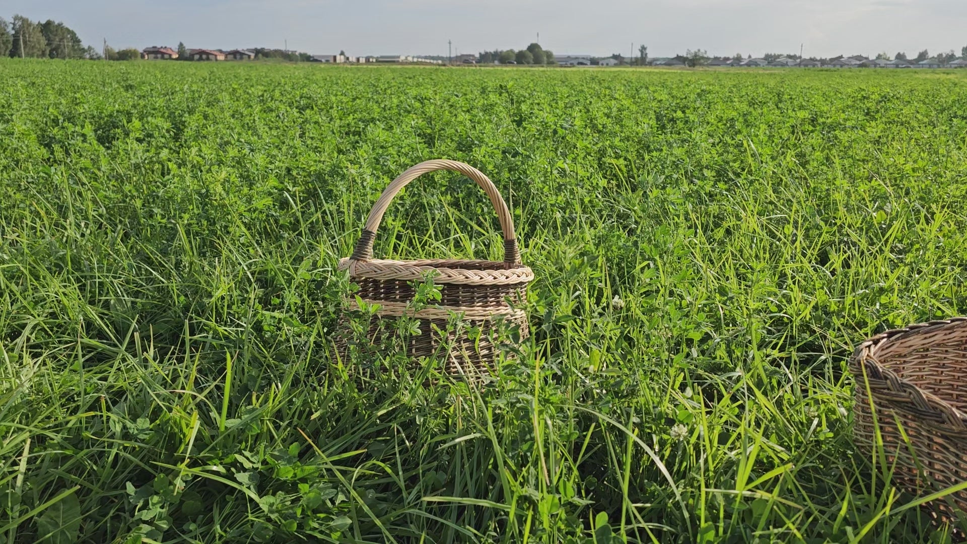 round-willow-basket-with-arched-handle