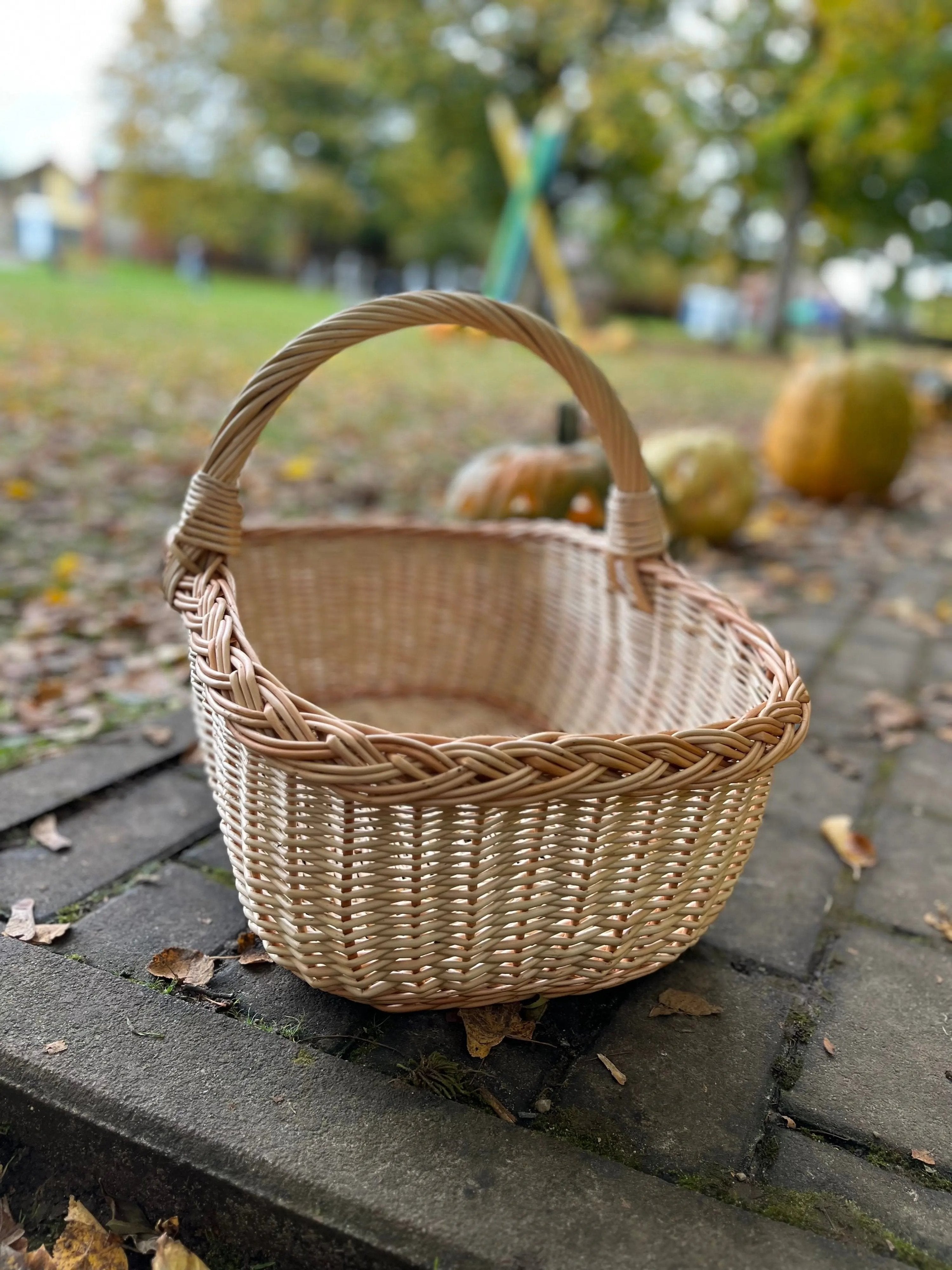Handwoven Willow Wicker Basket with Braided Handle - NaturelyWoven