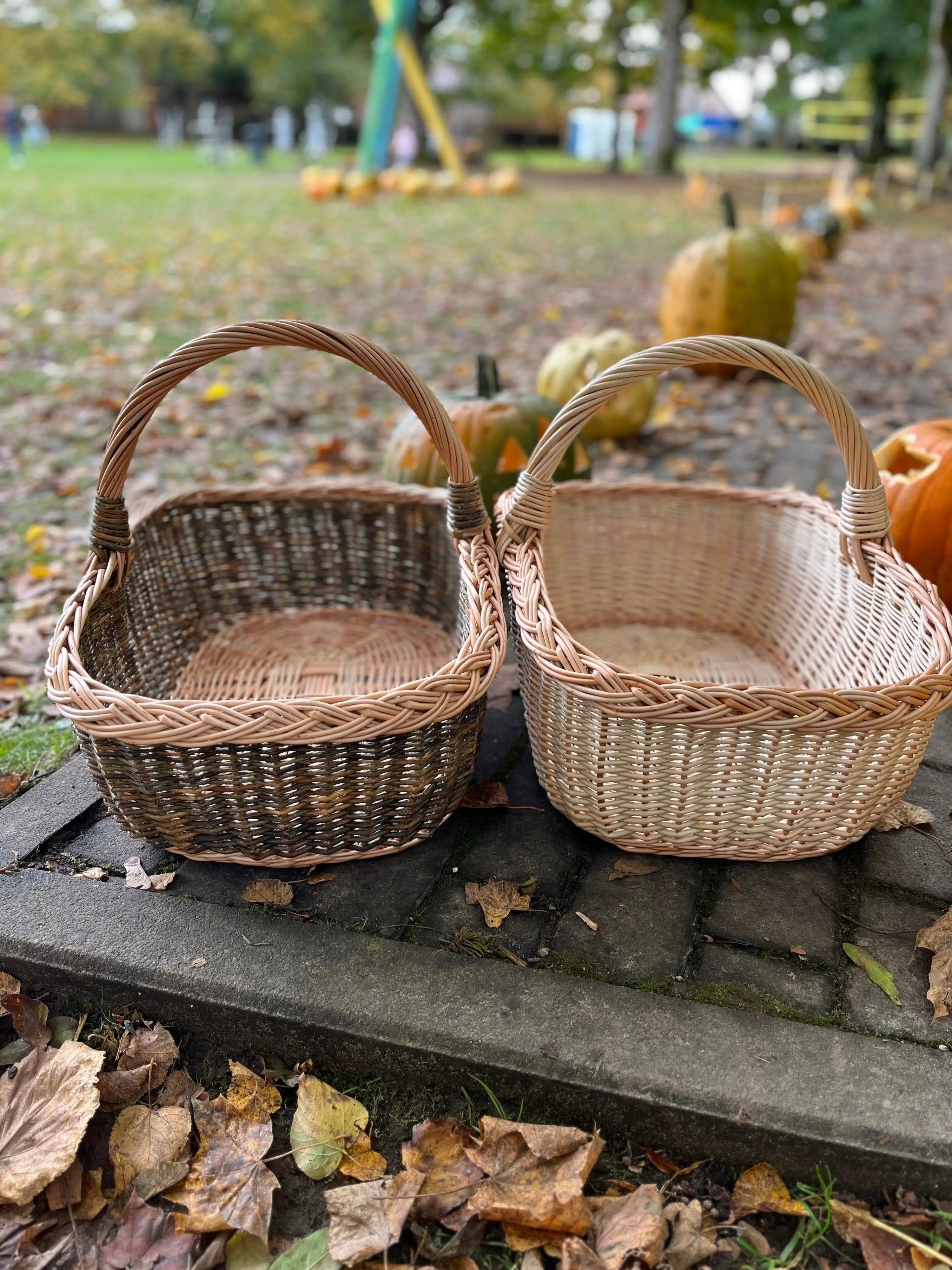 Handwoven Willow Wicker Basket with Braided Handle - NaturelyWoven