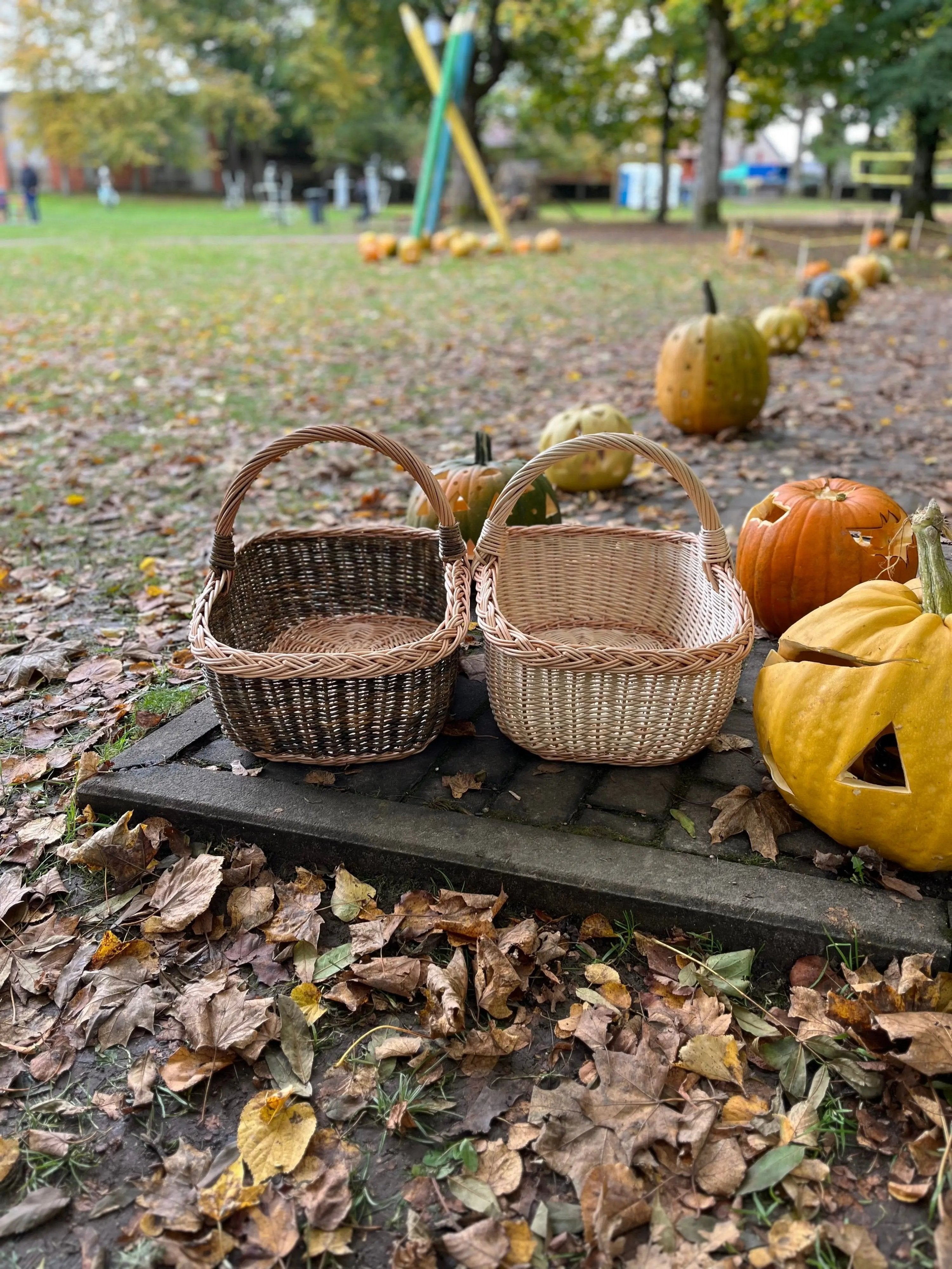 Handwoven Willow Wicker Basket with Braided Handle - NaturelyWoven