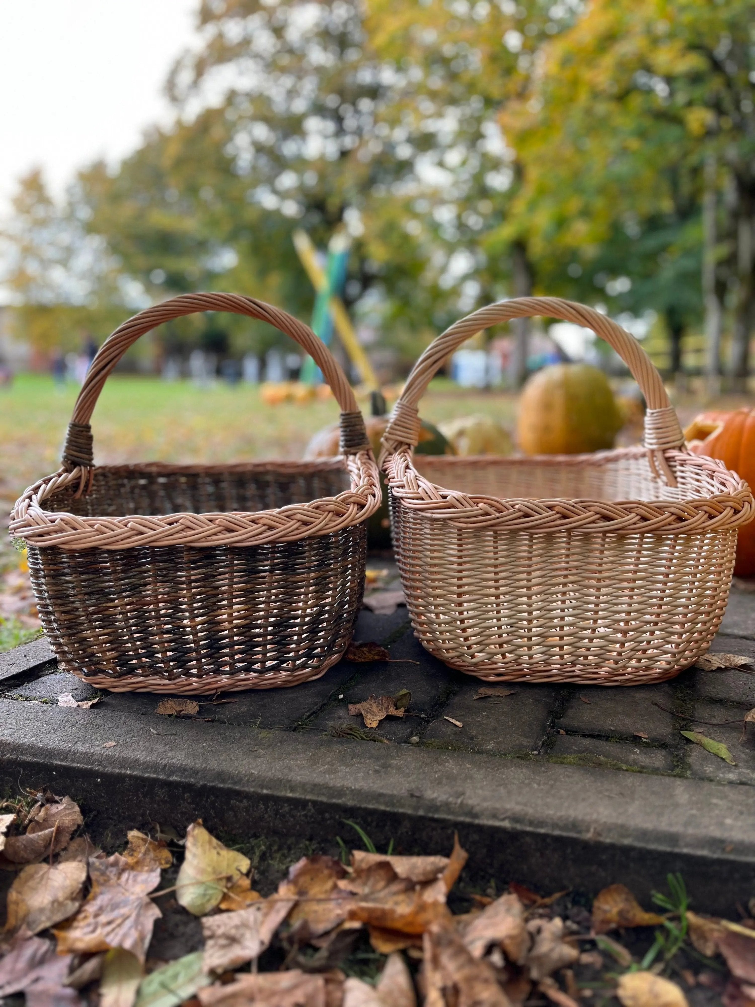 Handwoven Willow Wicker Basket with Braided Handle - NaturelyWoven