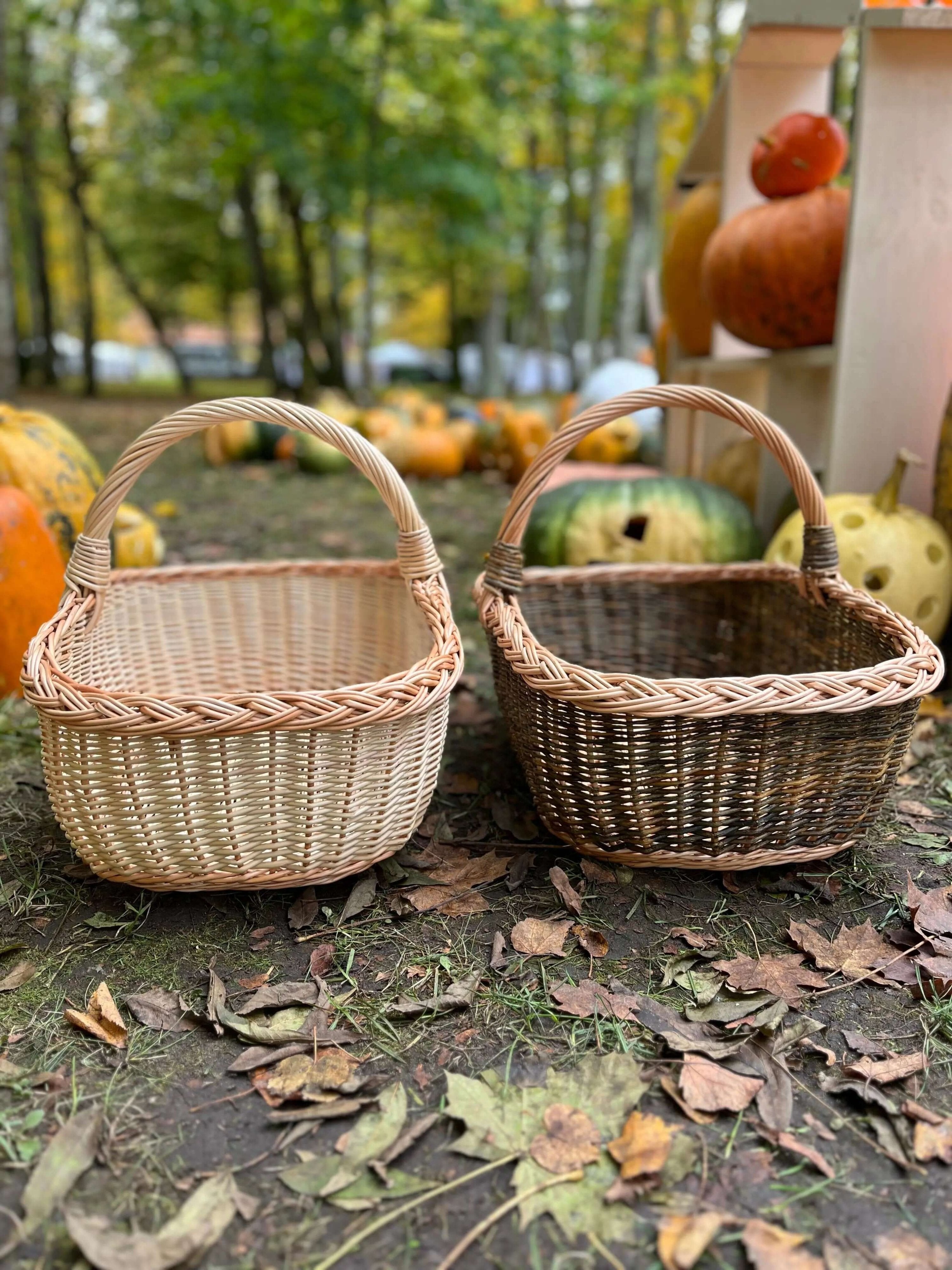 Handwoven Willow Wicker Basket with Braided Handle - NaturelyWoven