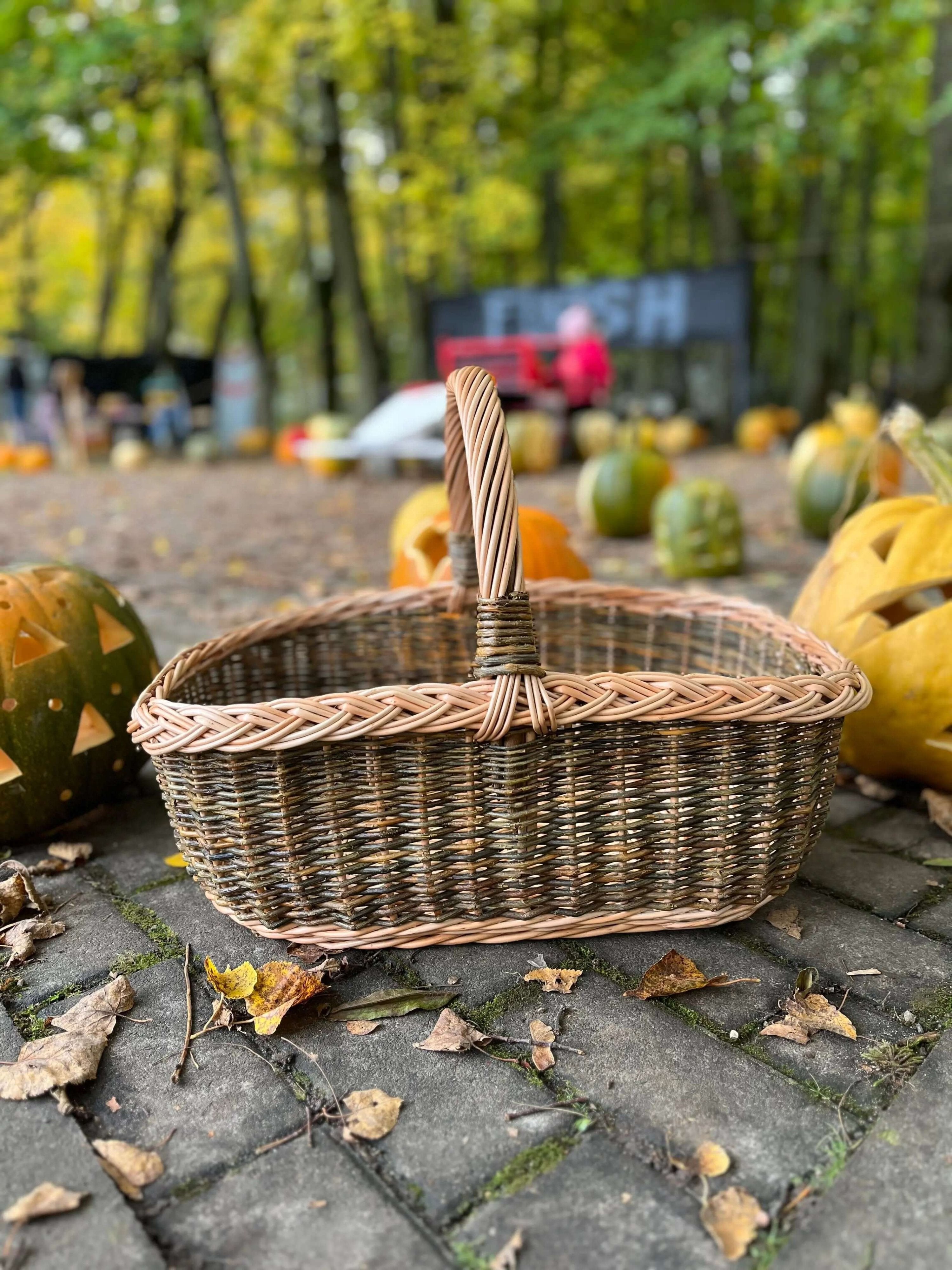 Handwoven Willow Wicker Basket with Braided Handle - NaturelyWoven
