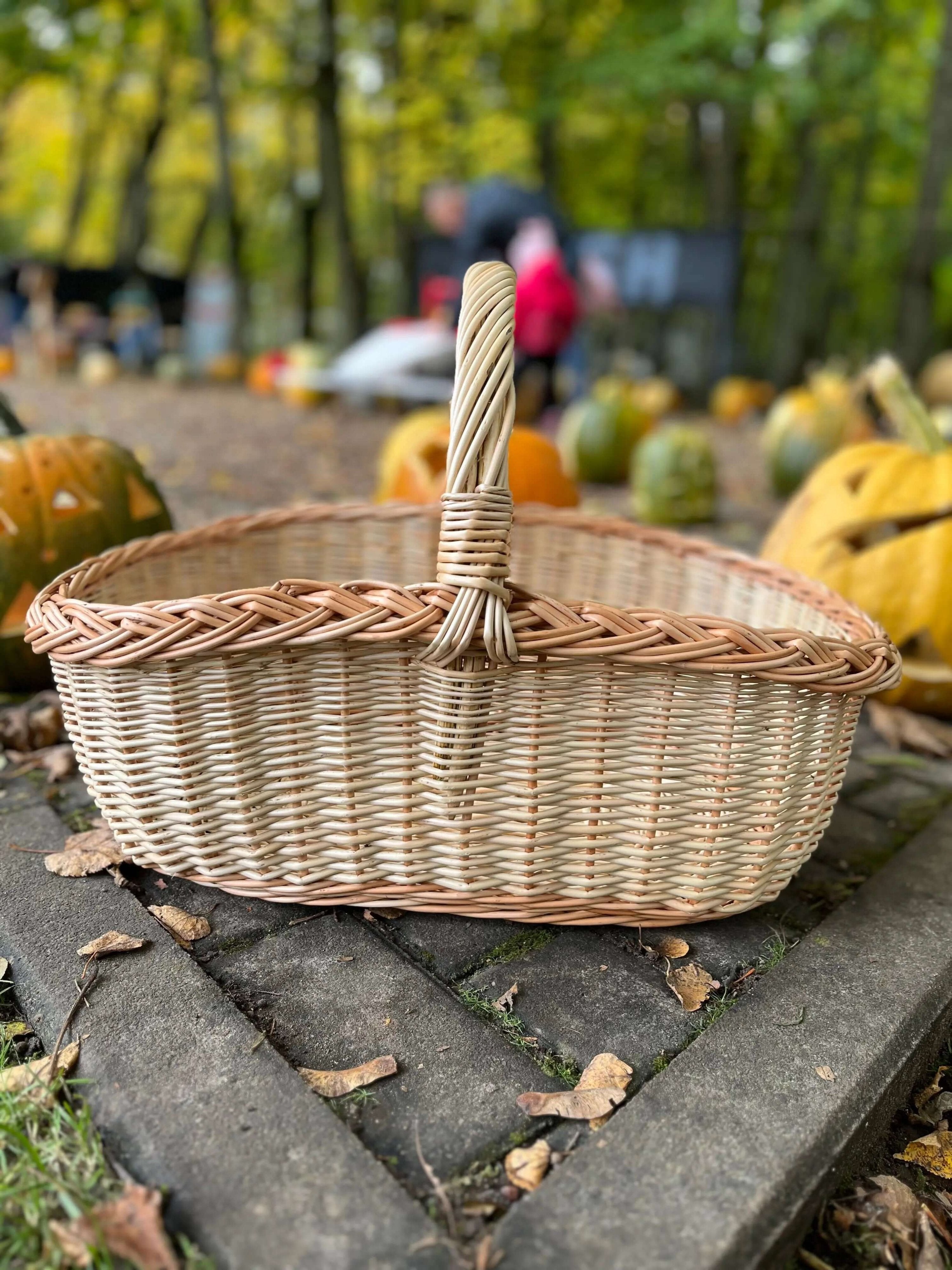 Handwoven Willow Wicker Basket with Braided Handle - NaturelyWoven