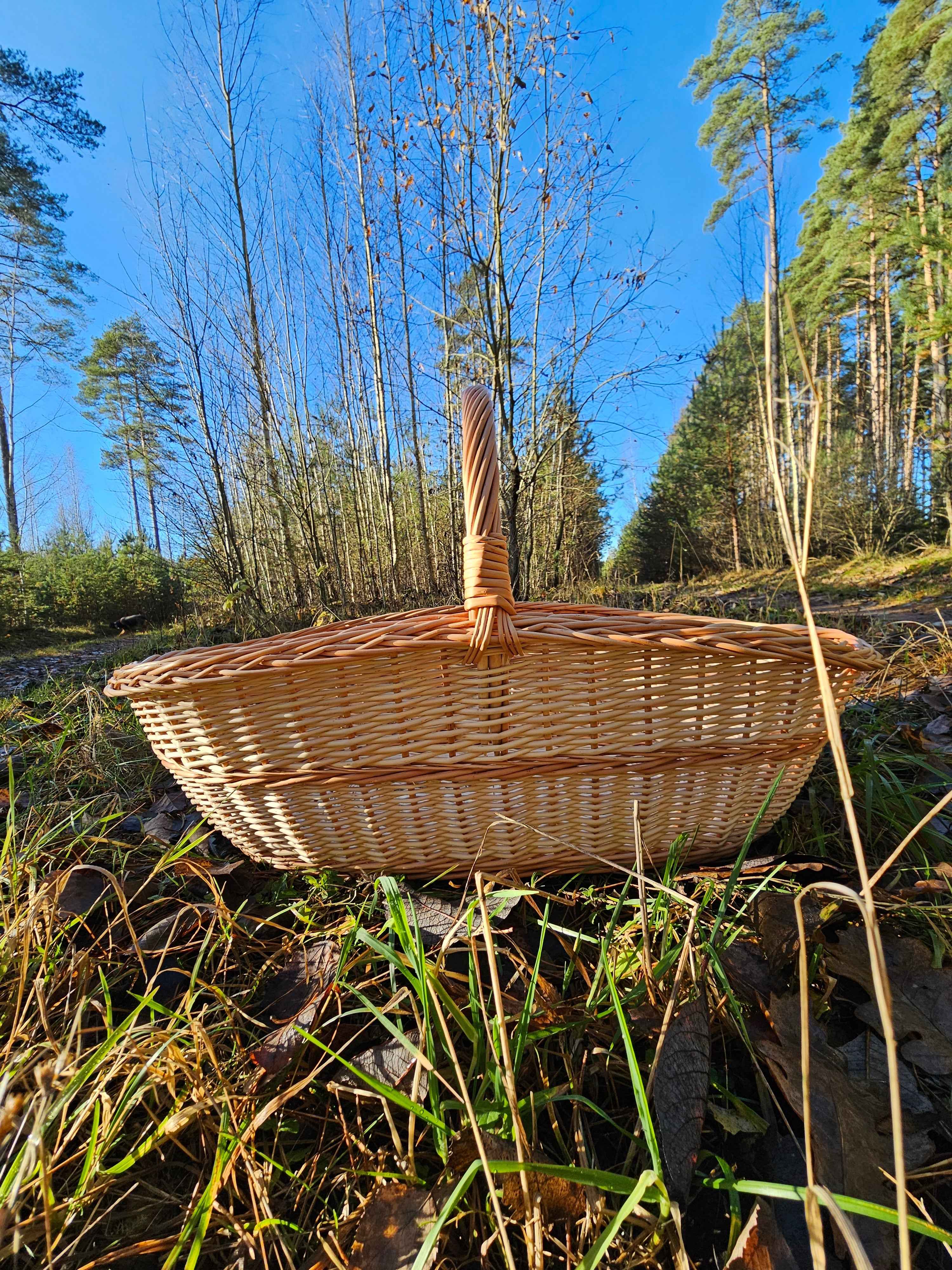 Ypač didelė pintinė su rausvu apvadu — vytelių pintinė, 5 nuotrauka