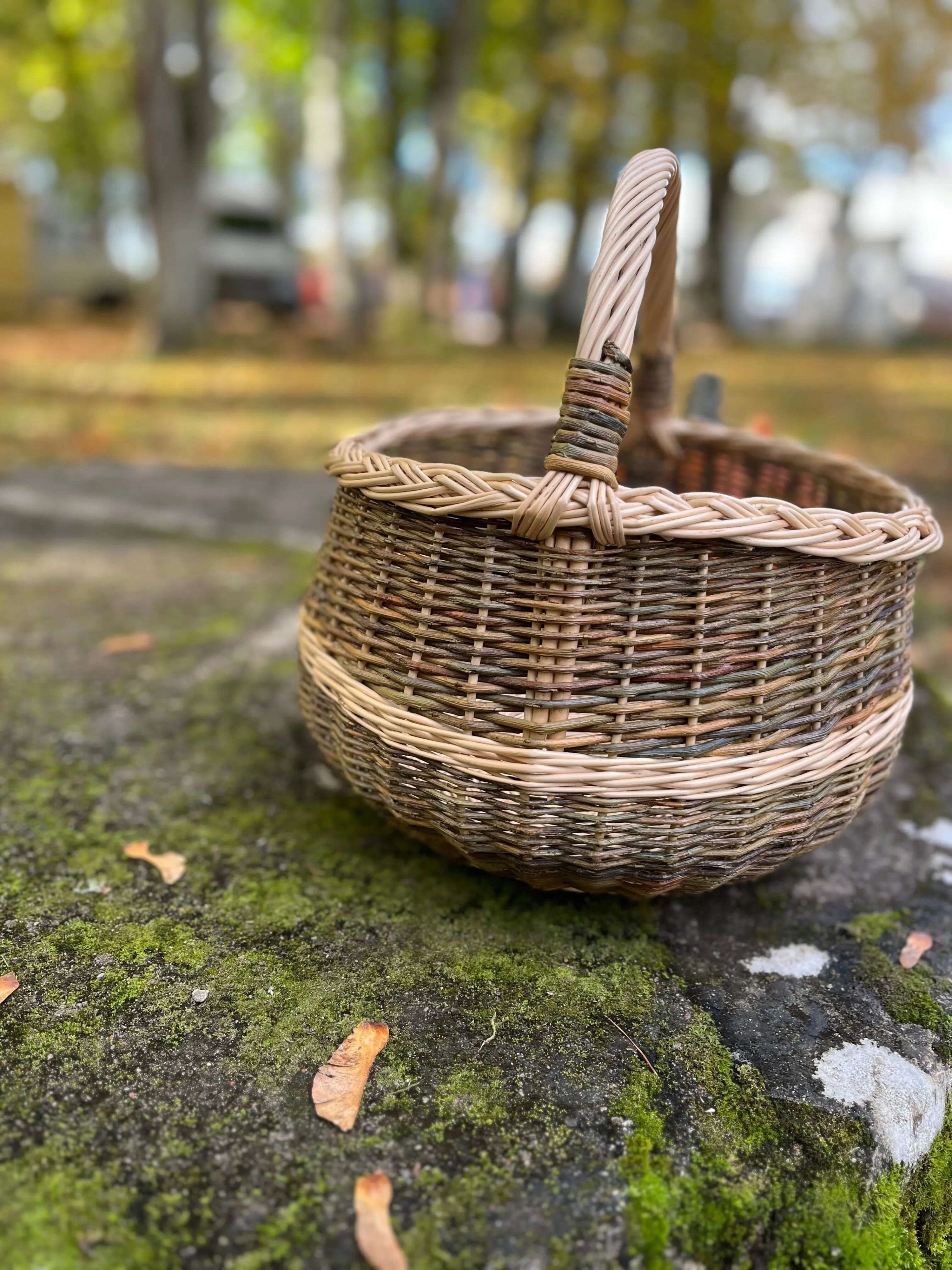 Round Wicker Basket – Handwoven Willow Foraging Basket With Airflow Design - NaturelyWoven